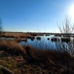 fotoalbum_omgeving_35