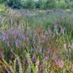 fotoalbum_omgeving_49